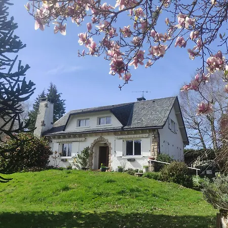 Chez Madeleine - Maison 11 Pers. Parc Arbore 3000M² Lanobre Exterior foto