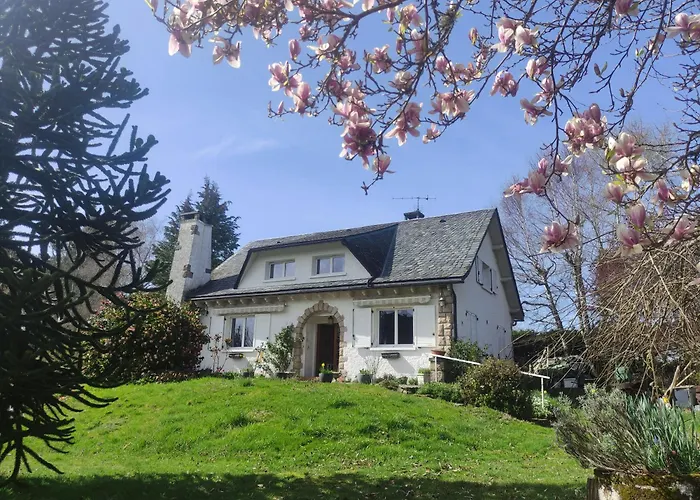 Chez Madeleine - Maison 11 Pers. Parc Arbore 3000M²